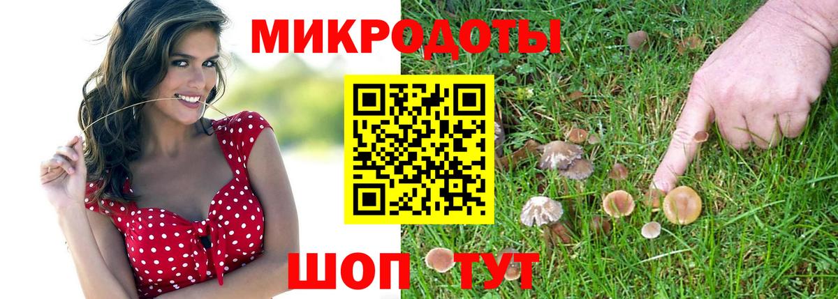 хочу наркоту  Вход с VPN  Северобайкальск  Псилоцибиновые грибы Cubensis 