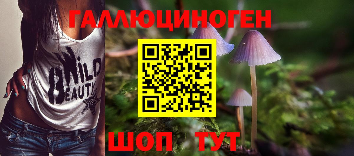 Псилоцибиновые грибы MAGIC MUSHROOMS Северобайкальск